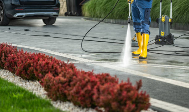 Best Dumpster Area Cleaning  in South Floral Park, NY